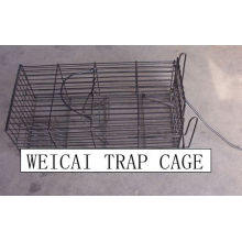 CE Standard, Trap Cages_Rat Catch Cage